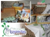 foto-b-envases