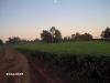 im000561