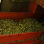 IMG_5238 IMG_5238