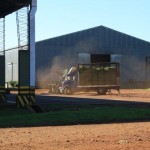 IMG_5264 IMG_5264