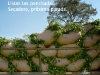 foto-isondu-07